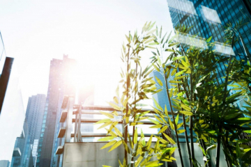 plants in a city