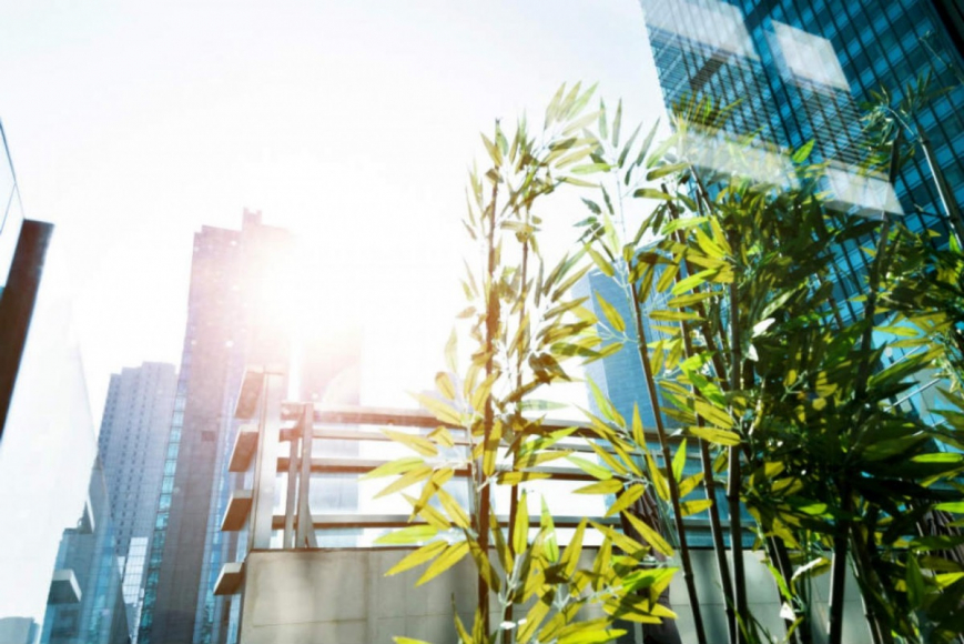 plants in a city