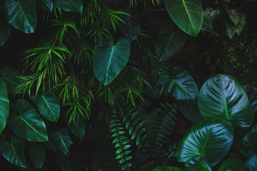 Antea Group USA Sponsors Season Three of Inogen Alliance's Podcast Rethinking EHS