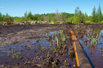 Wetlands