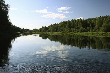 Water Rights and Regulatory Risk: Understanding Water Allocation and Management Practices